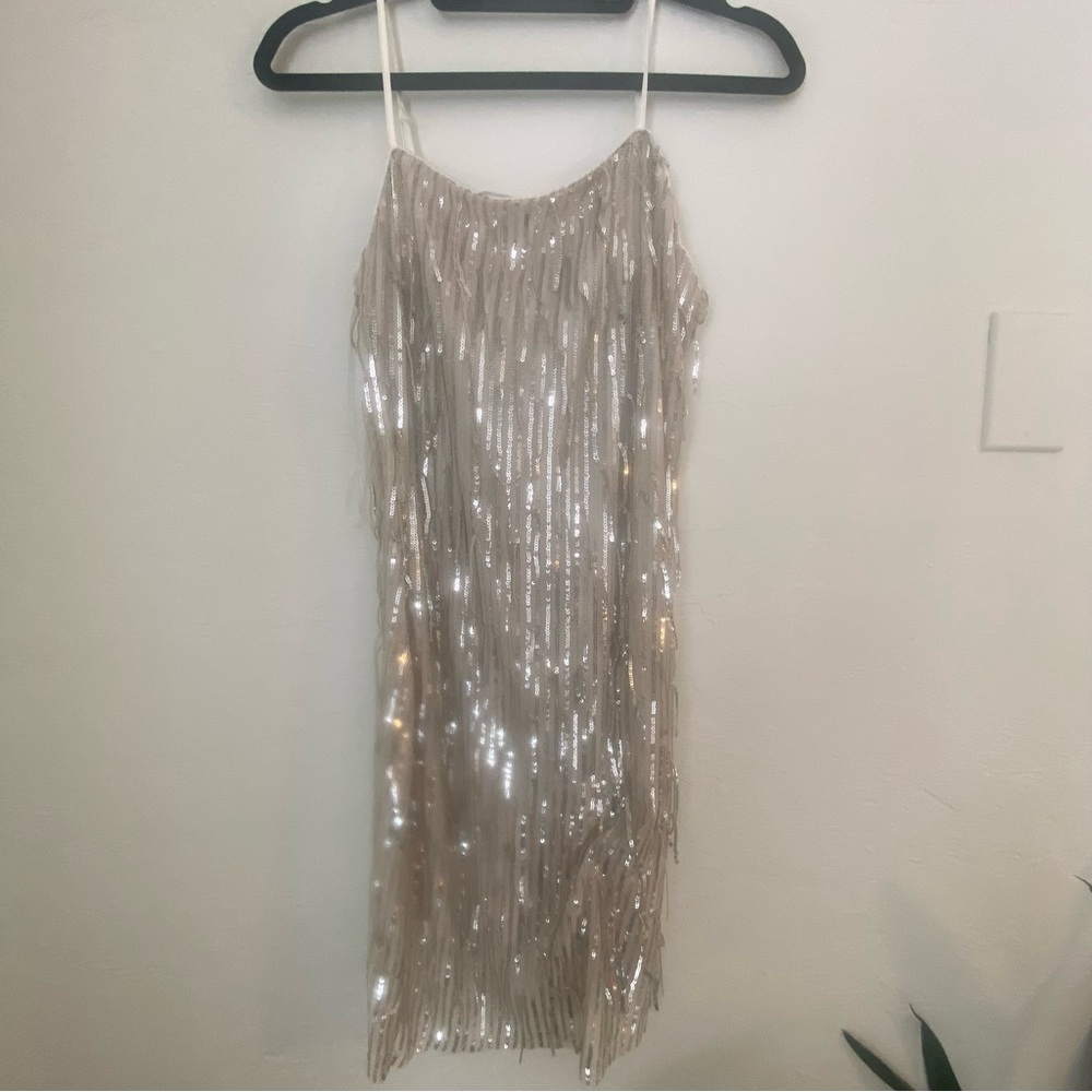 NWT Sequin Fringe Slip Dress in Champagne